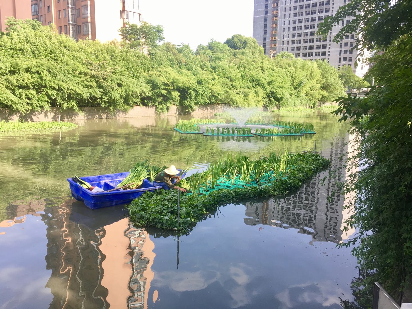 寧波鄞州區(qū)城區(qū)內河水質日常養(yǎng)護項目